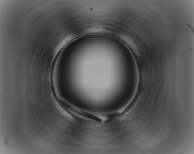 X0000097751330200803071239