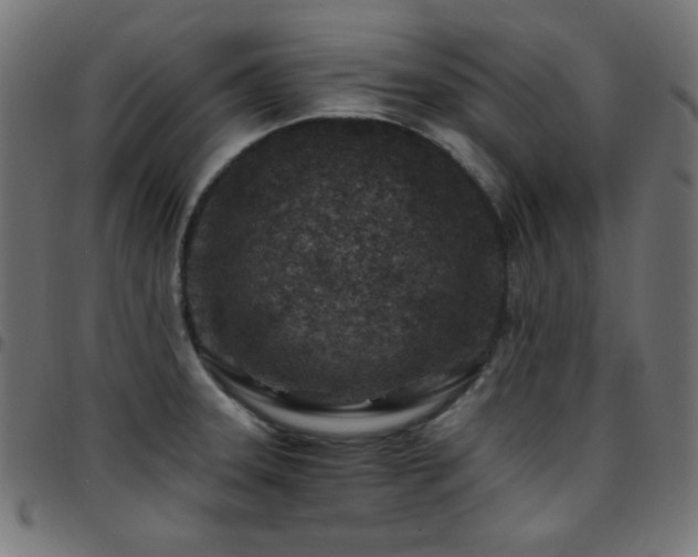 X0000097751331200803071239