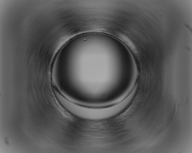 X0000097751332200803071240