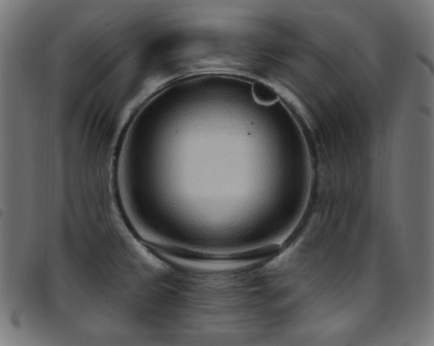X0000097751333200803071240