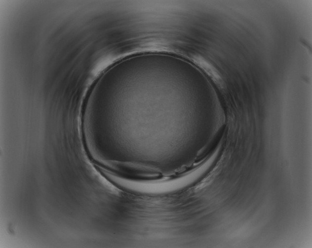 X0000097751334200803071240