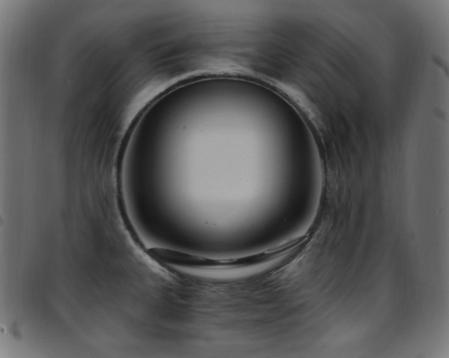 X0000097751335200803071240