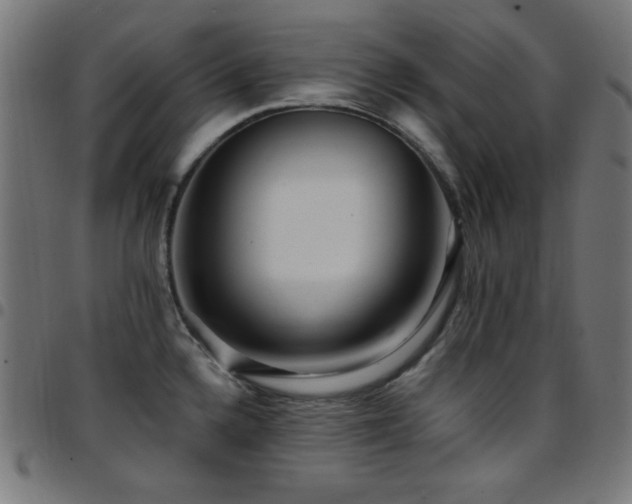 X0000097751336200803071240