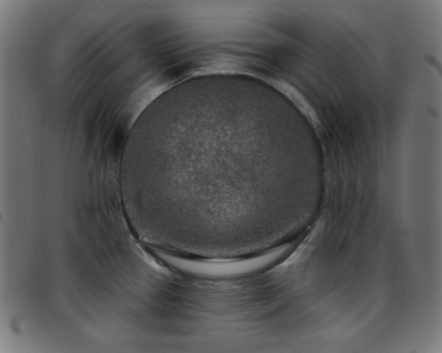 X0000097751337200803071240