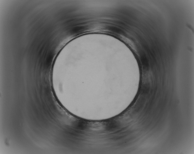 X0000097751338200803071240