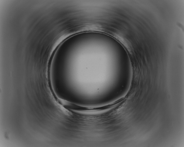 X0000097751339200803071240