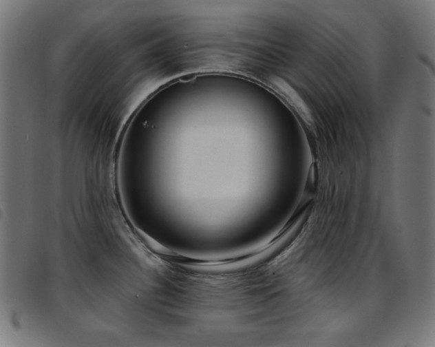 X0000097751340200803071240
