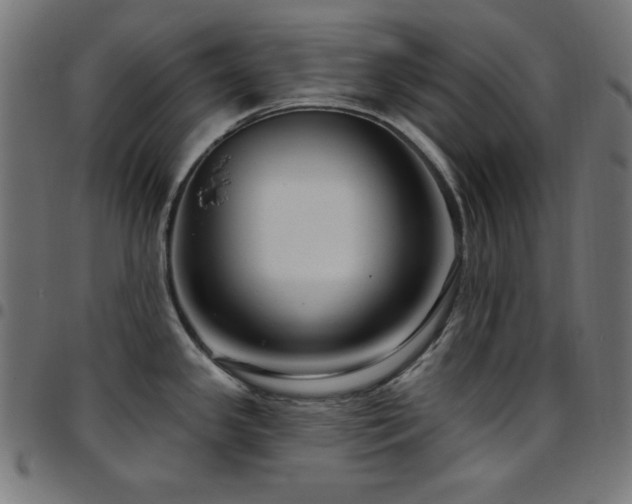 X0000097751341200803071240