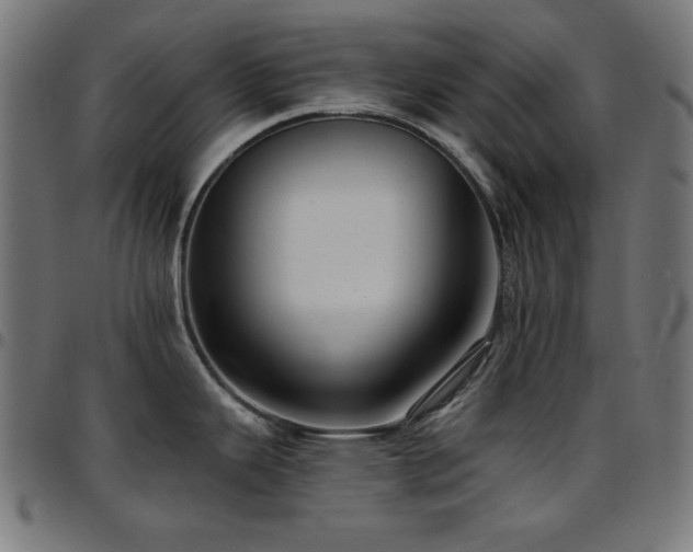 X0000097751343200803071240