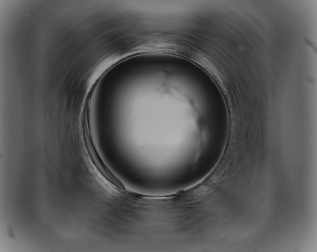 X0000097751344200803071240