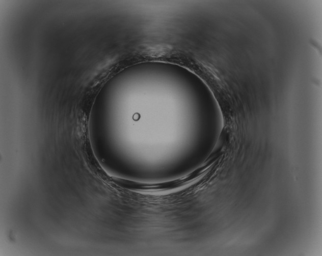 X0000097751349200803071239