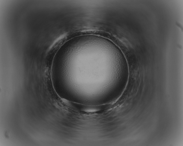 X0000097751351200803071239