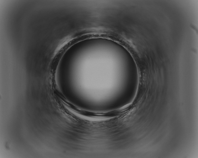 X0000097751352200803071239