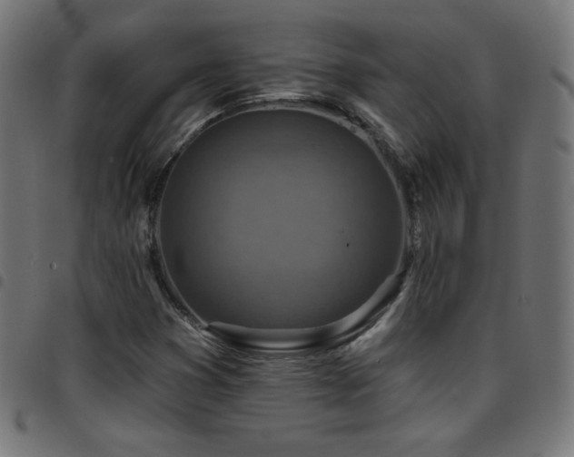 X0000097751353200803071239
