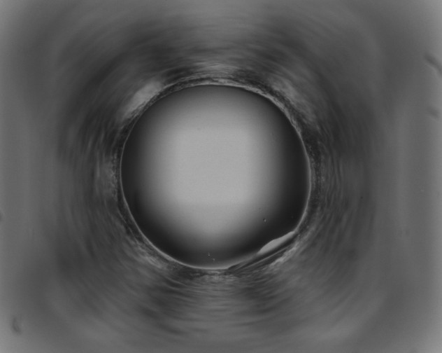 X0000097751354200803071239