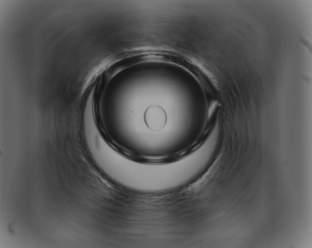 X0000097751357200803071239