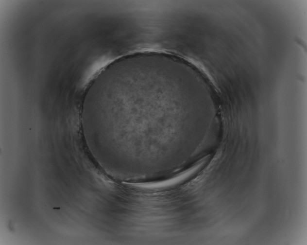 X0000097751359200803071239