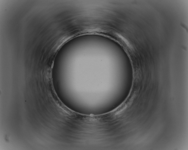X0000097751361200803071239