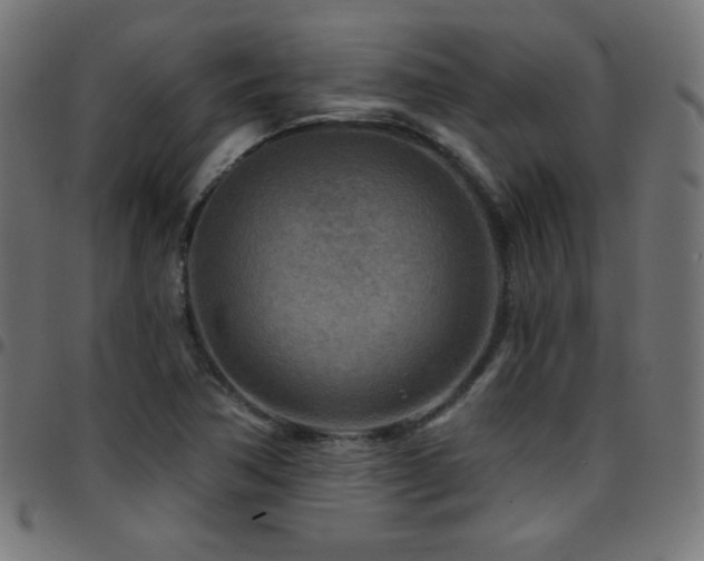 X0000097751362200803071239