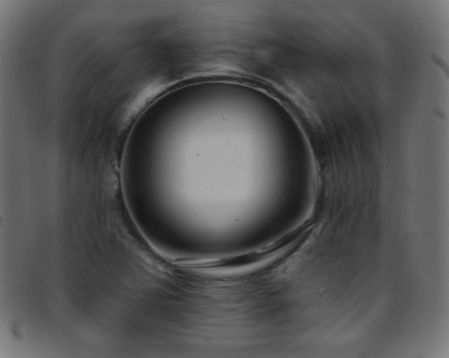 X0000097751363200803071239