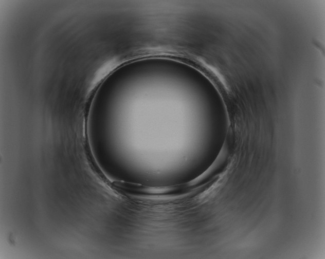 X0000097751365200803071239