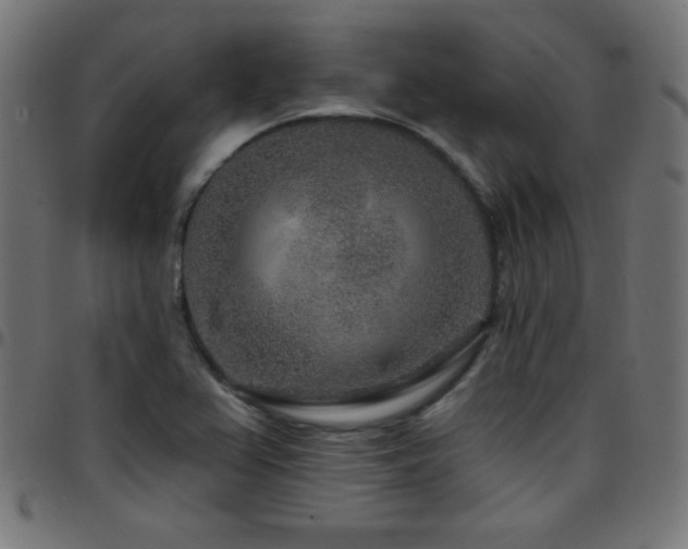 X0000097751367200803071239