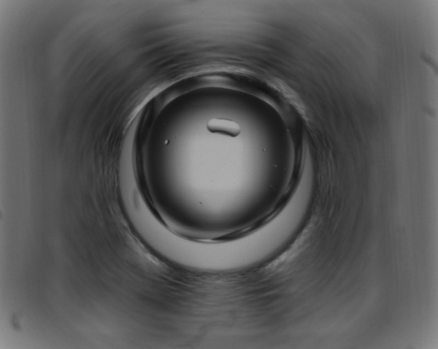 X0000097751369200803071239