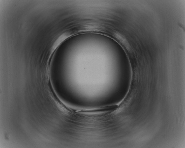 X0000097751370200803071239