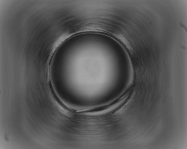 X0000097751371200803071239