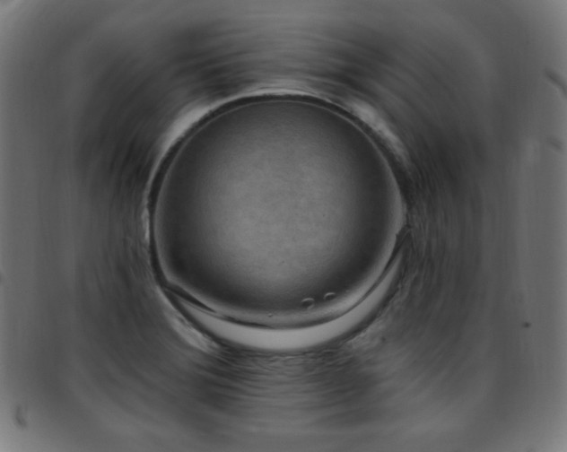 X0000097751372200803071239