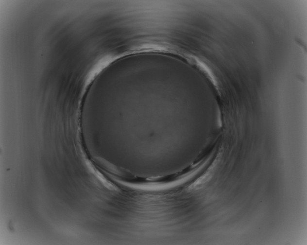 X0000097751373200803071239