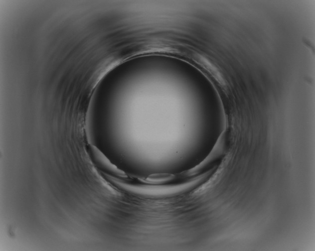 X0000097751377200803071239