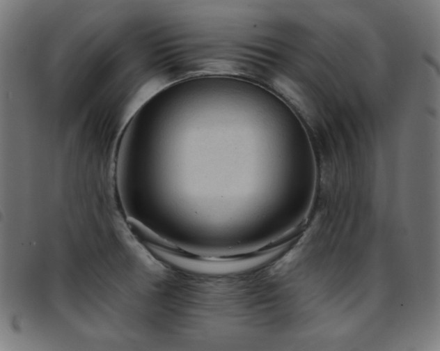 X0000097751378200803071239