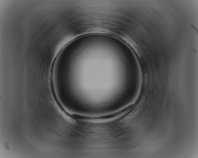 X0000097751379200803071238