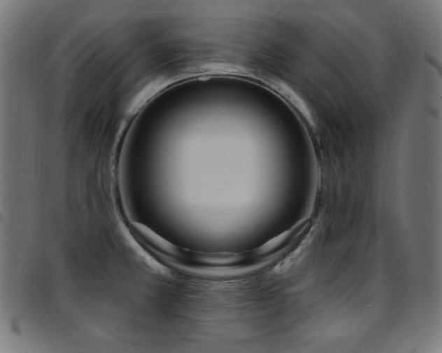 X0000097751381200803071238