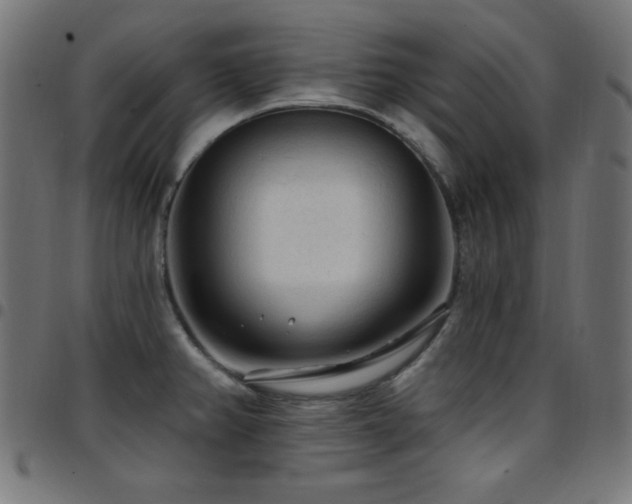 X0000097751382200803071238