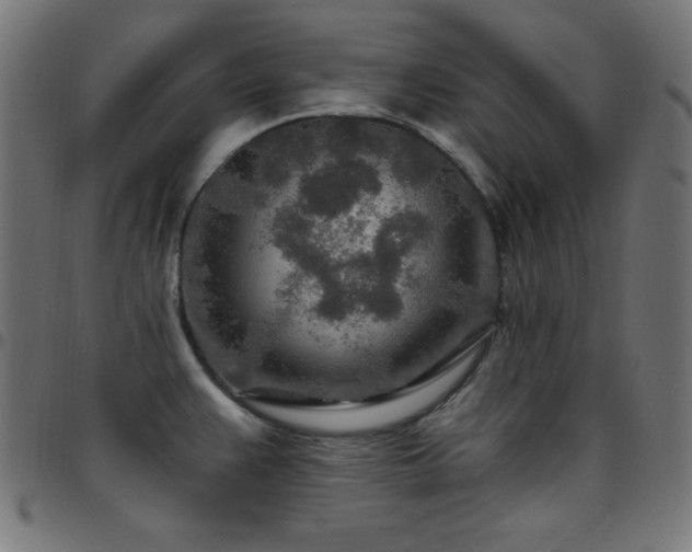 X0000097751383200803071238