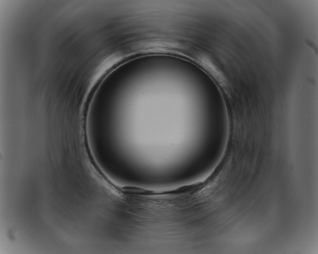 X0000097751384200803071238