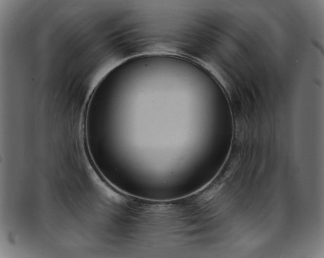 X0000097751387200803071238