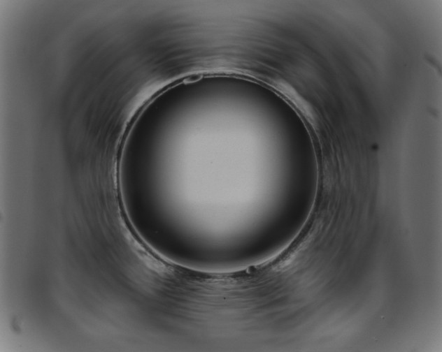X0000097751388200803071238