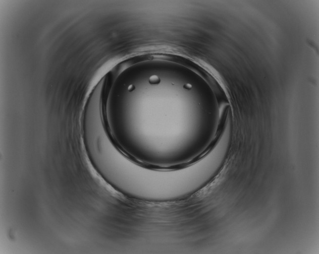 X0000097751389200803071238