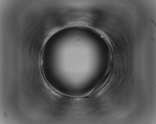 X0000097751390200803071238