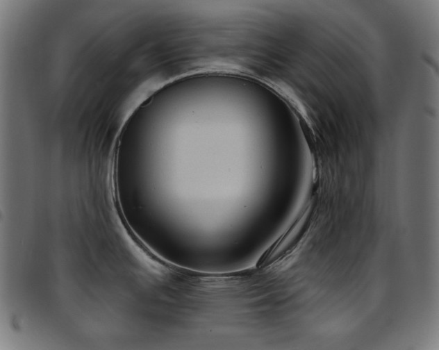 X0000097751391200803071238