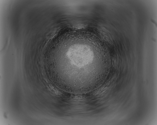 X0000097751393200803071237