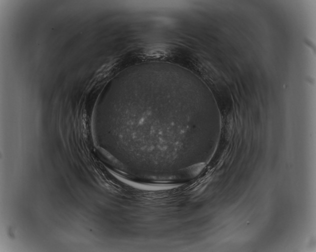 X0000097751394200803071237