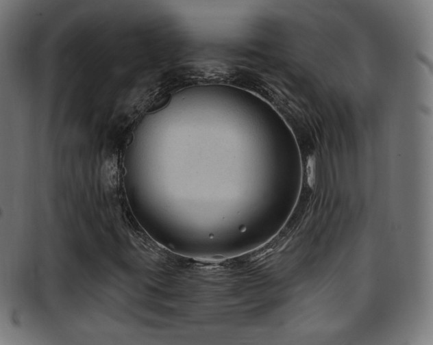 X0000097751395200803071237