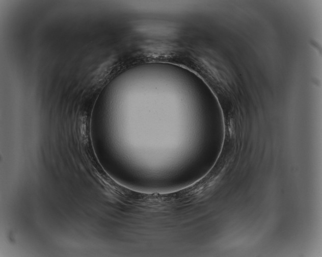 X0000097751396200803071238