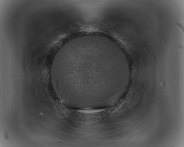 X0000097751398200803071238