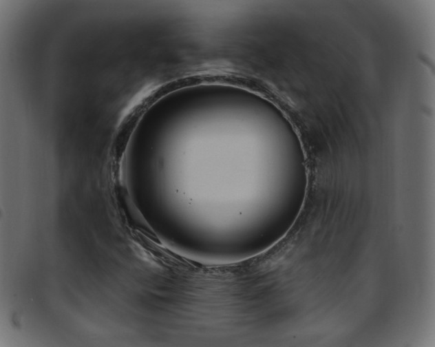 X0000097751400200803071238