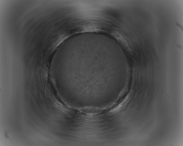 X0000097751401200803071238